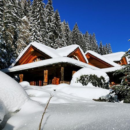 Chalet Caprea 巴德小基希海姆 外观 照片
