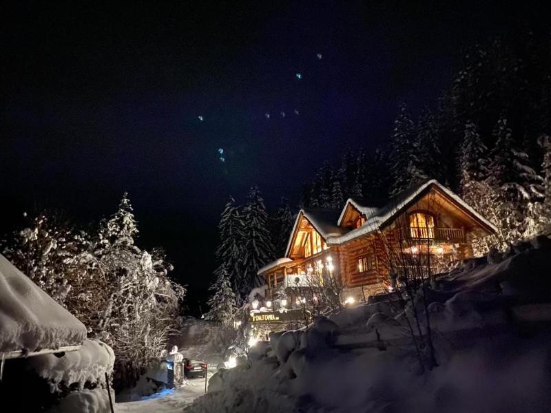 Chalet Caprea 巴德小基希海姆 外观 照片