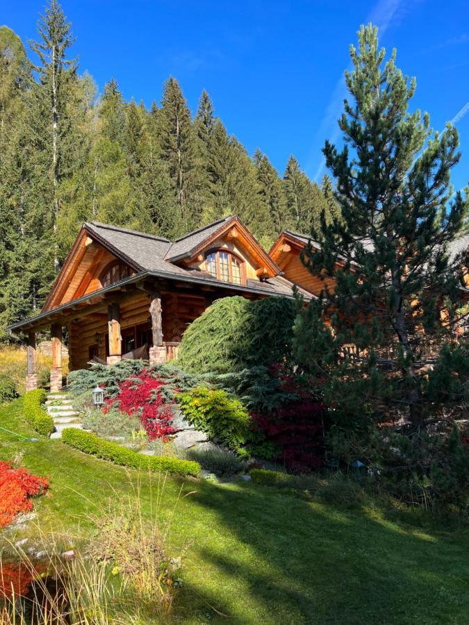 Chalet Caprea 巴德小基希海姆 外观 照片