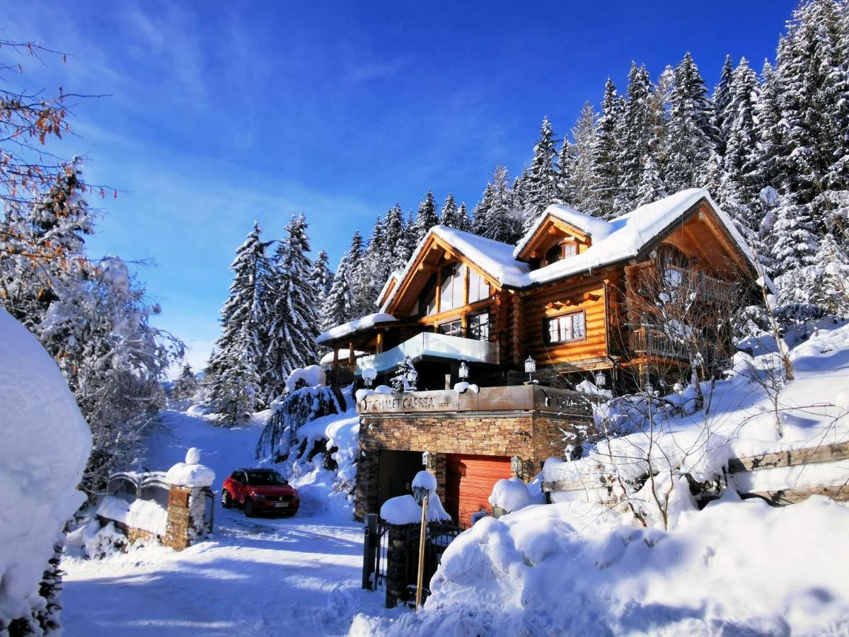 Chalet Caprea 巴德小基希海姆 外观 照片