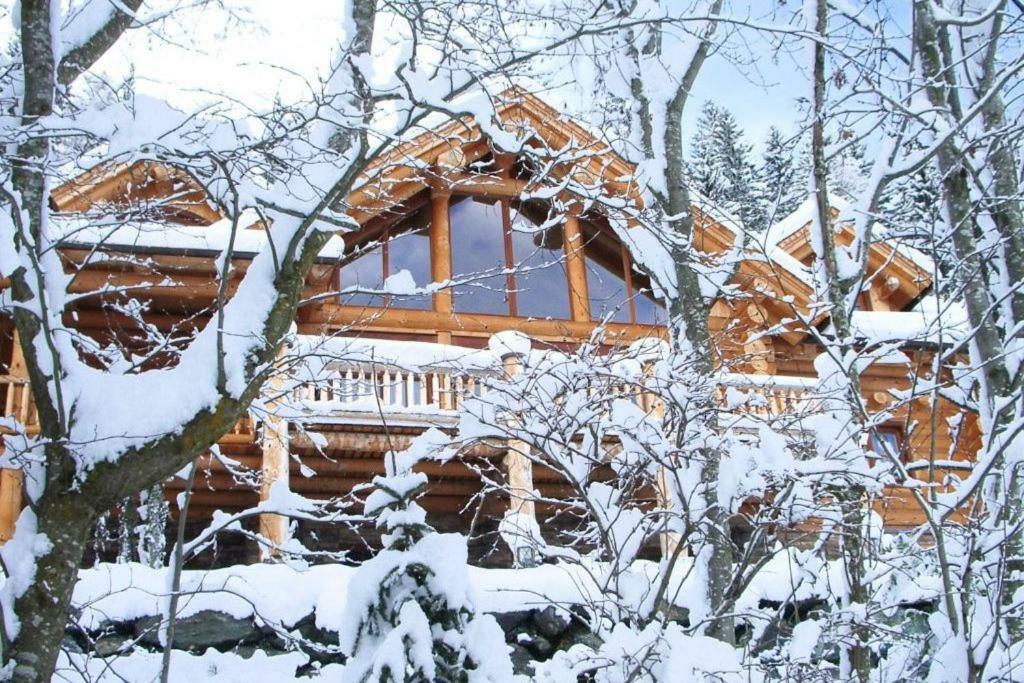 Chalet Caprea 巴德小基希海姆 外观 照片