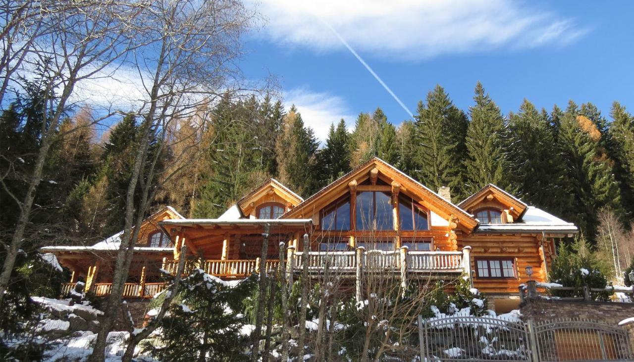 Chalet Caprea 巴德小基希海姆 外观 照片